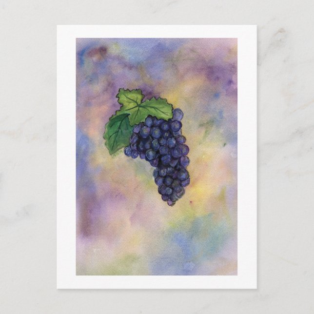 Pinot Noir Vin Graps vycard Vykort (Framsida)