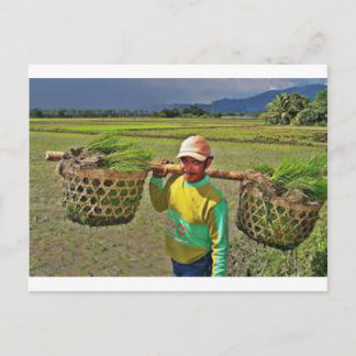 Pinoy1.jpg Vykort
