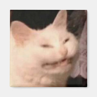 Pinsamt kattmeme magnet