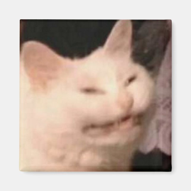 Pinsamt kattmeme magnet (Framsidan)