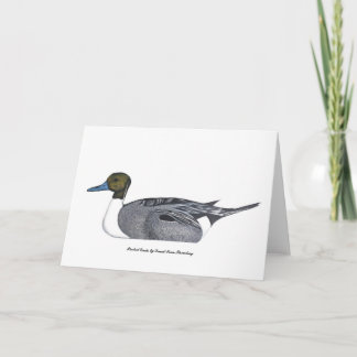 Pintail Anka Greeting Card, av David Ivan Stromber Kort
