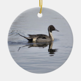 Pintail Anka Ornament