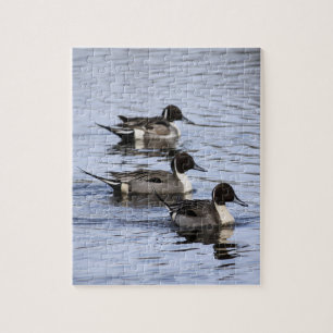 Pintail anka Trio Jigszle Puzzle Pussel
