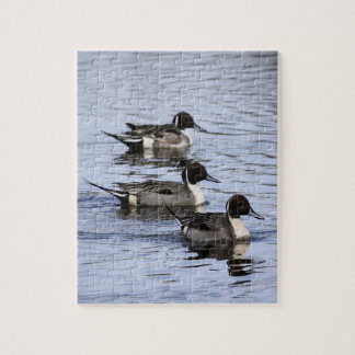 Pintail anka Trio Jigszle Puzzle Pussel