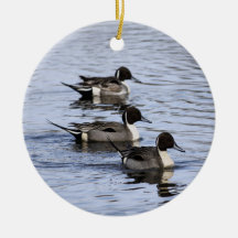 Pintail Anka Trio Ornament
