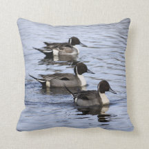Pintail Duck Trio Kudd