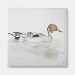 Pintailanka 2011 magnet