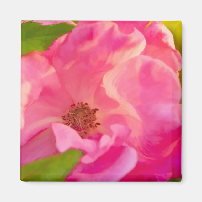 Pinterly Abstrakt Rosa ros Floral Photography Magnet (Framsidan)