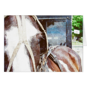 Pinto Amish Buggy Horse Hälsningskort