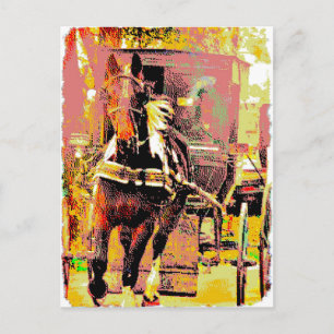 Pinto Amish Horse 8-bitars Art Vykort