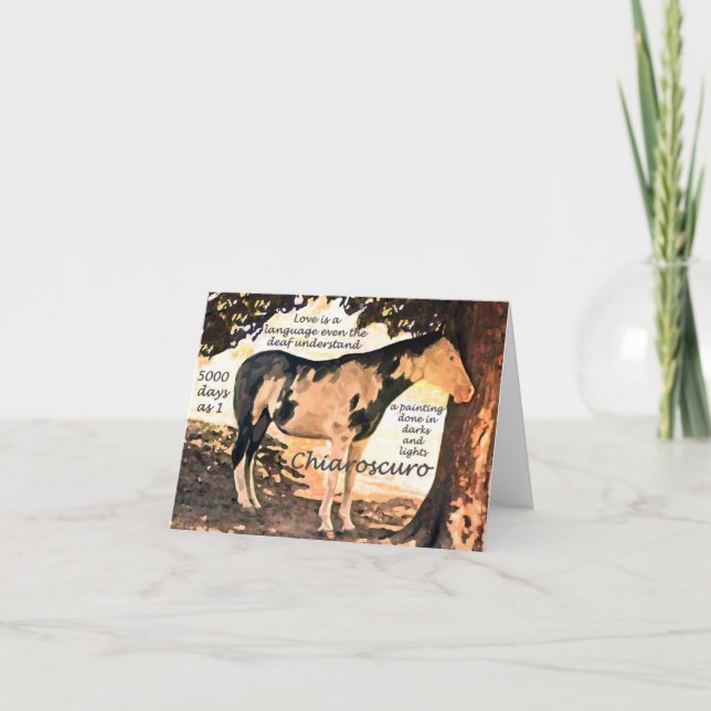 Pinto Döv Horse Chiaro Kort (Framsida)