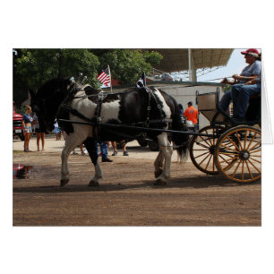 Pinto Draft Horse 2018 Mt. Pleasant, Iowa Hälsningskort