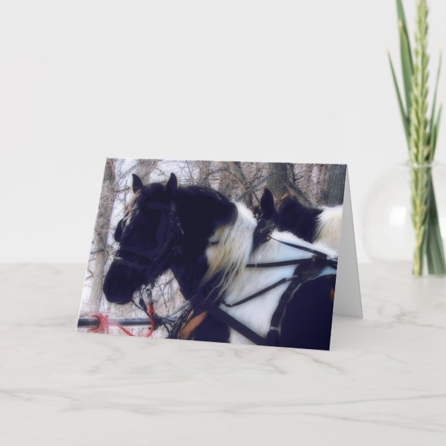 Pinto Draft Horses Birthday Kort (Framsida)