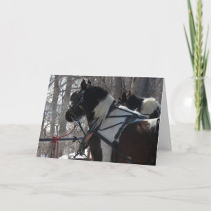 Pinto Draft Horses, jul Helgkort