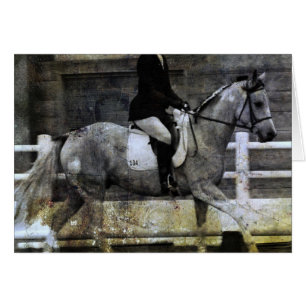 Pinto Dressage Horse Hälsningskort