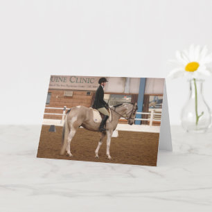 Pinto Dressage Horse Kort