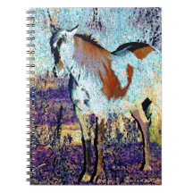 Pinto Horse Digital Art