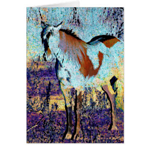 Pinto Horse Digital Art Hälsningskort