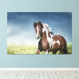 Pinto Horse Gallops through Flowery Vår Meadow Canvastryck