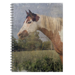 Pinto Horse Grunge Anteckningsbok Med Spiral