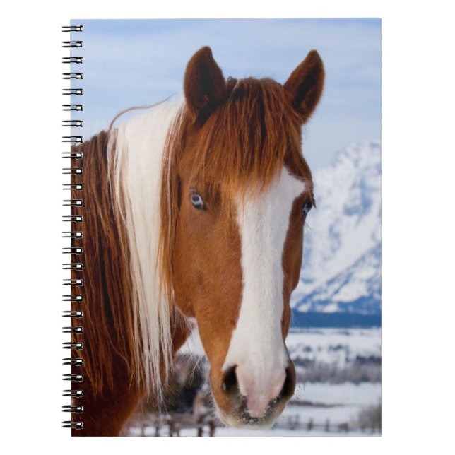 Pinto Horse Mount Moran i Winter Anteckningsbok (Framsidan)