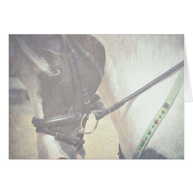 Pinto in Tack Hälsningskort (Framsidan Horizontal)