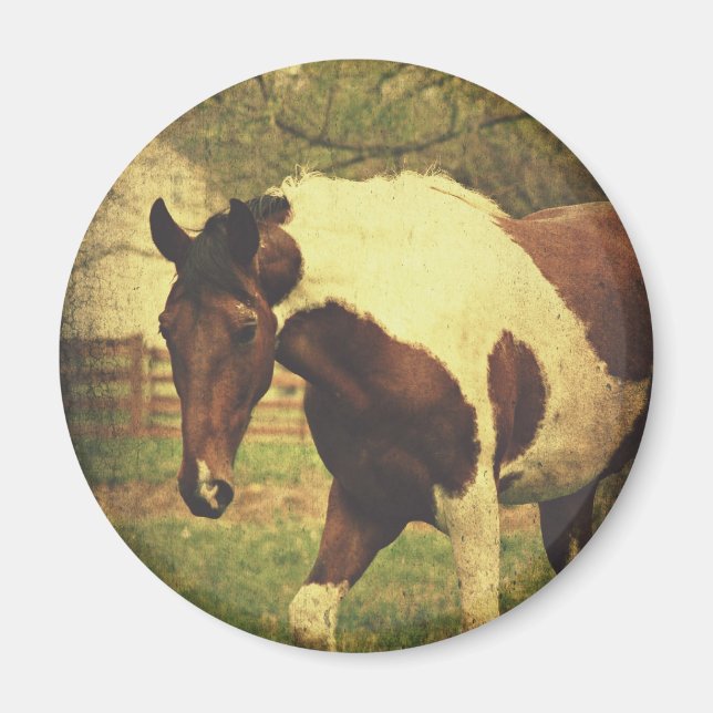 Pinto Magnet (Framsidan)