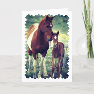 Pinto Mare and Foal, födelsedag Kort