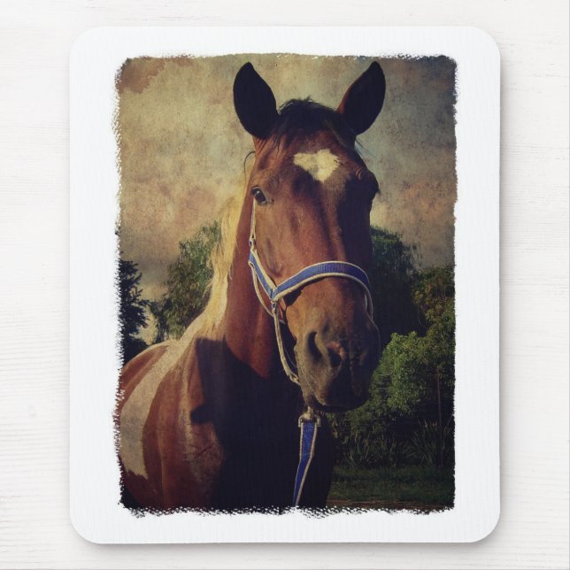 Pinto Musmatta (Framsidan)