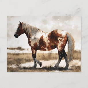 Pinto Mustang Horse Painting Postcard Vykort