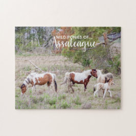 Pinto och Paint Vild Ponies of Assateague Pussel