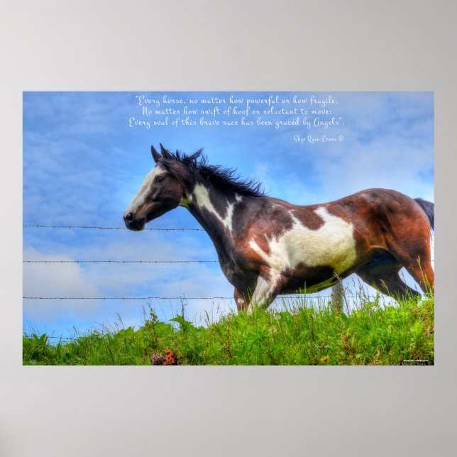 Pinto Paint & Clouds Ranch Horse w Dikt Photo Poster (Framsidan)