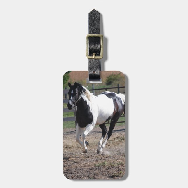 Pinto Paint Horse Bagagebricka (Vertikal Framsida)