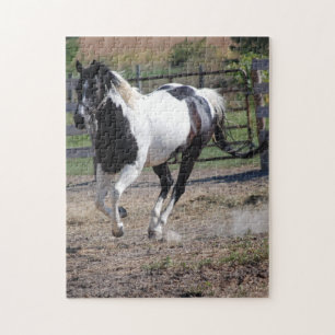 Pinto Paint Horse Pussel
