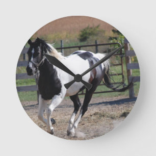 Pinto Paint Horse Rund Klocka