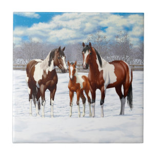 Pinto Paint Horses i Winter Snö Kakelplatta