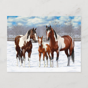 Pinto Paint Horses i Winter Snö Vykort
