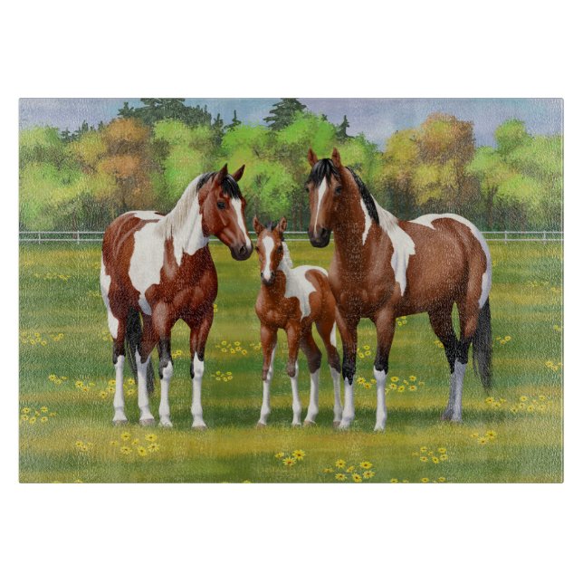Pinto Paint Quarter Horses in Summer Pasture (Framsidan)