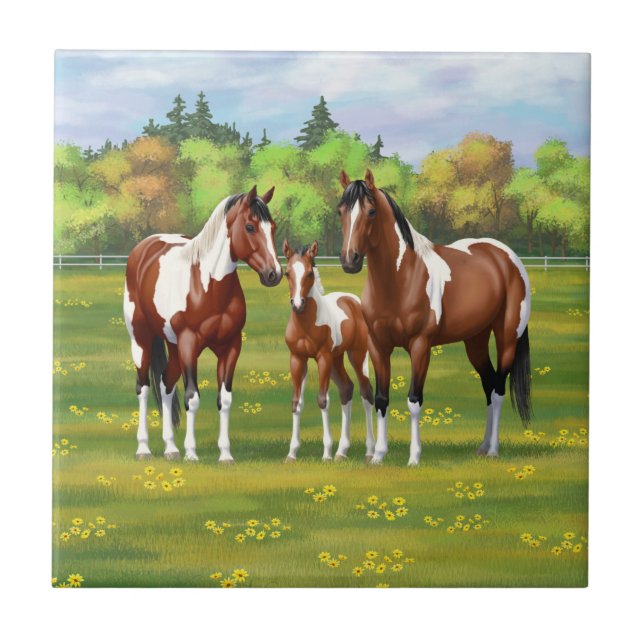 Pinto Paint Quarter Horses in Summer Pasture Kakelplatta (Framsidan)