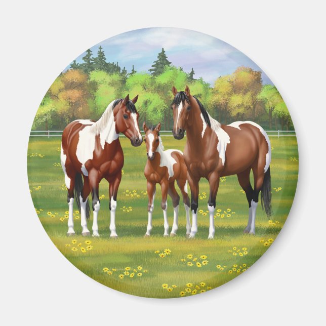Pinto Paint Quarter Horses in Summer Pasture Magnet (Framsidan)