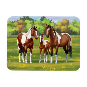 Pinto Paint Quarter Horses in Summer Pasture Magnet