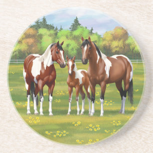 Pinto Paint Quarter Horses in Summer Pasture Underlägg