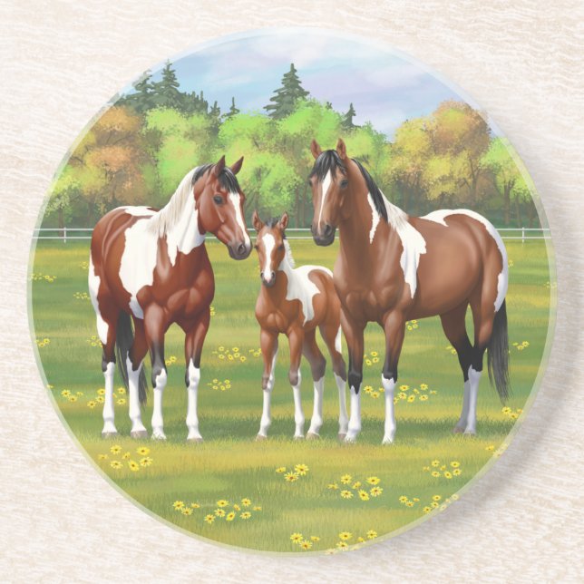 Pinto Paint Quarter Horses in Summer Pasture Underlägg (Framsidan)