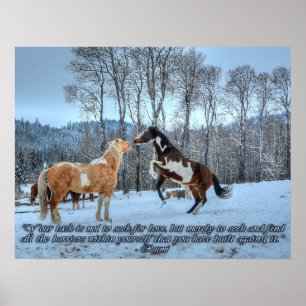 Pinto Paint Stallions, Snö & Rumi Quote Poster