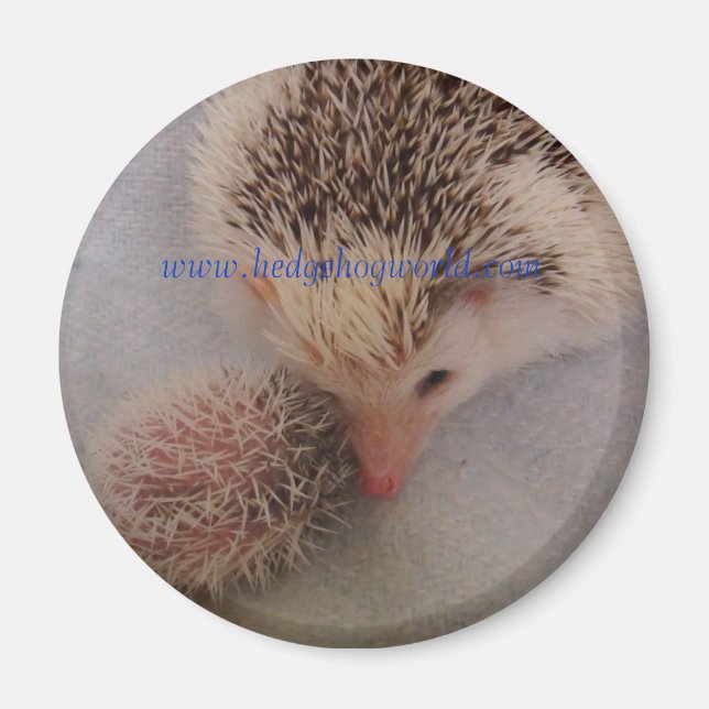 Pinto-parad magnet (Framsidan)