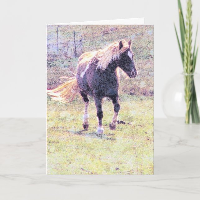 Pinto Pony, Fars dag Kort (Framsida)