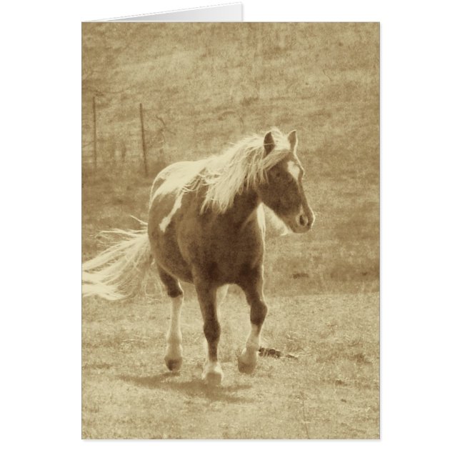 Pinto Pony Sepia, Fars dag Hälsningskort (Framsidan)