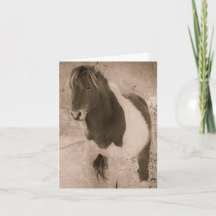 Pinto Pony Sepia Grunge, tack Helgkort