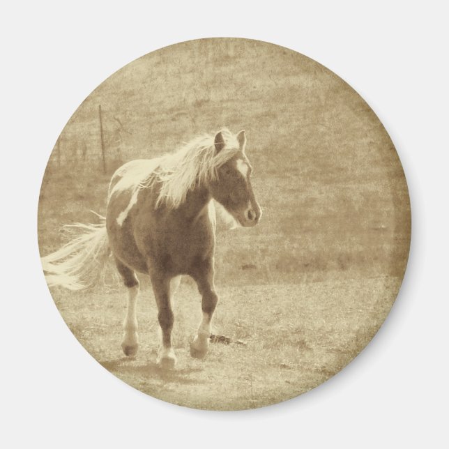 Pinto Pony Sepia Magnet (Framsidan)