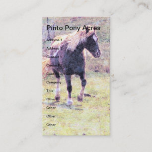 Pinto Pony Visitkort